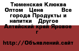 Тюменская Клюква Оптом › Цена ­ 200 - Все города Продукты и напитки » Другое   . Алтайский край,Яровое г.